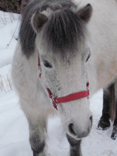 DSCF1258.JPG