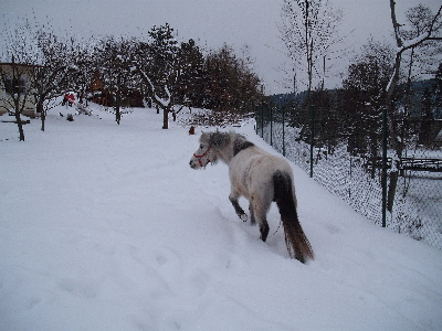 DSCF1261.JPG