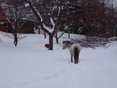 DSCF1262.JPG