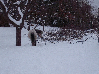 DSCF1263.JPG