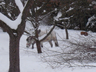 DSCF1265.JPG
