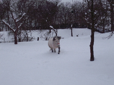 DSCF1270.JPG