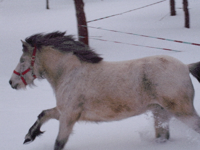 DSCF1272.JPG