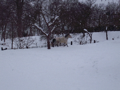 DSCF1273.JPG
