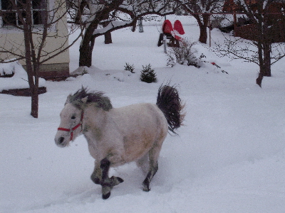 DSCF1275.JPG
