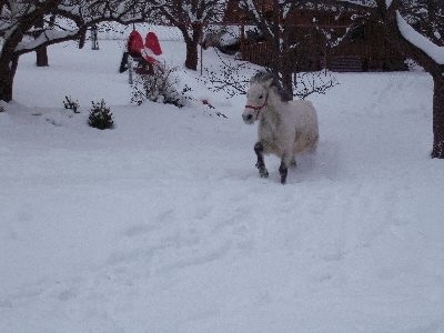 DSCF1279.JPG