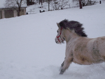 DSCF1282.JPG