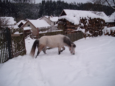 DSCF1286.JPG