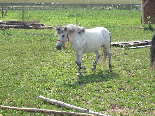 DSCF2312.JPG