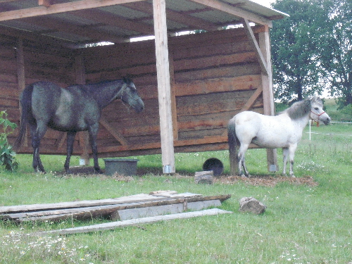 DSCF2323.JPG