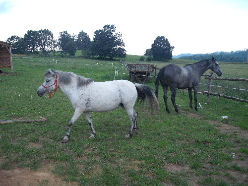 DSCF2330.JPG